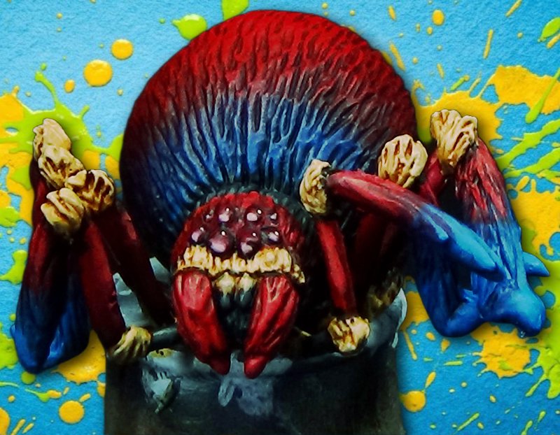 Spider and Spiderlings