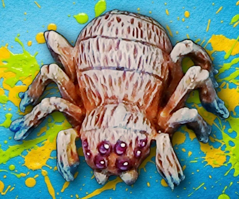 Spider and Spiderlings