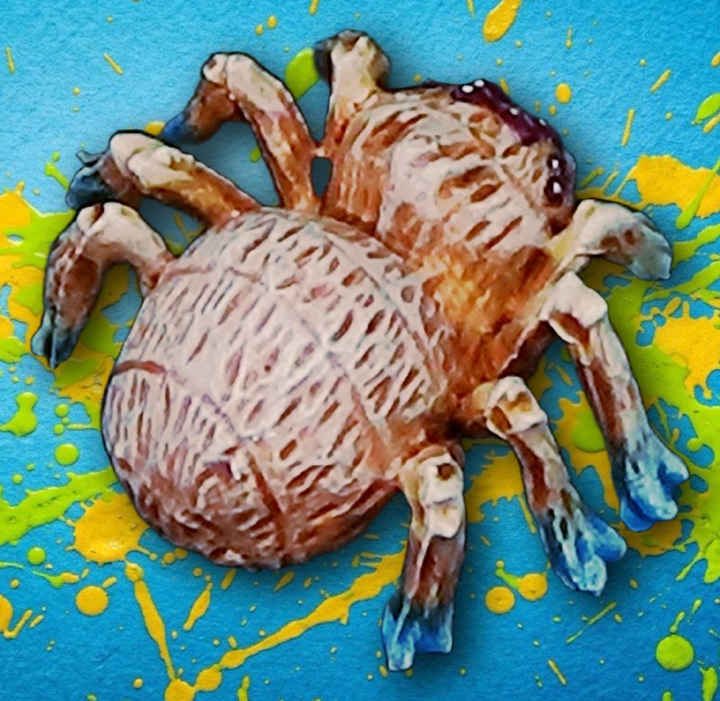 Spider and Spiderlings